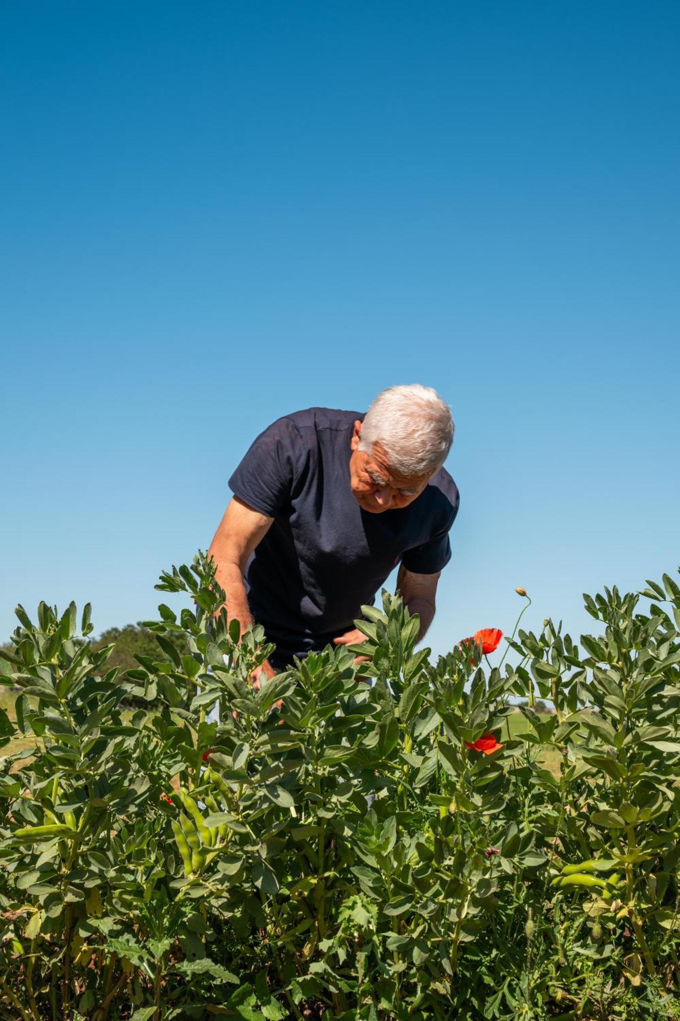 Masseria La Mandra Farm stay *